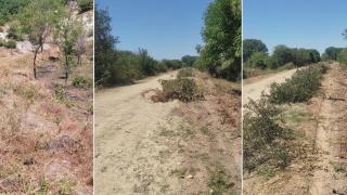 Έργα πυροπροστασίας σε τέσσερις οικισμούς του Τριγώνου