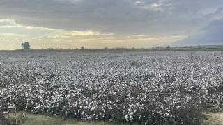 Μη επιλέξιμες κρίθηκαν καλλιέργειες - Ετοιμάζονται κινητοποιήσεις