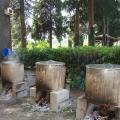 Το έθιμο "Κουρμπάνι Αγίου Γεωργίου" στο χωριό Λύρα Σουφλίου
