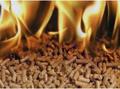 Pellet Therm Eco