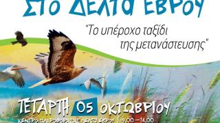 "Πανευρωπαϊκή Γιορτή Πουλιών 2016" στο Δέλτα του Έβρου