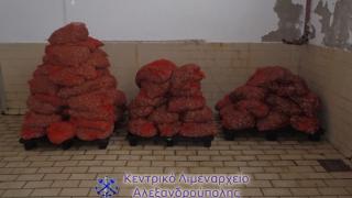 Κατασχέθηκαν 1.440 κιλά ακατάλληλα όστρακα στην Αλεξανδρούπολη (φωτογραφίες)