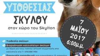 To Skylton σας προσκαλεί στην "Γιορτή υιοθεσίας σκύλου"