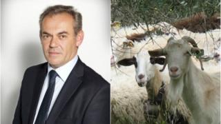 Δουνάκης: Δεν θα επιτρέψουμε να καταστραφεί και πάλι η κτηνοτροφία - Απαιτείται εμβολιασμός σε όλη την Ελλάδα