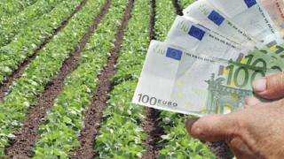 "Ανάσα" για τους αγρότες του Έβρου από τον ΕΛΓΑ 
