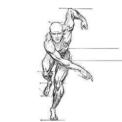 Τερζής Ελ. Άγγελος - Ορθοπεδικός Χειρουργός