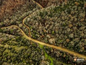Ένα από τα μονοπάτια στην περιοχή του Άβαντα
