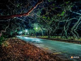 Στον πλατανότοπο της Μαϊστρου, στην Αλεξανδρούπολη