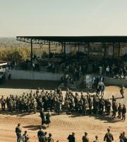 Φωτορεπορτάζ από την τελική φάση της στρατιωτικής άσκησης "Παρμενίων 2017"