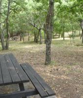 Με προορισμό το δάσος της Δαδιάς.