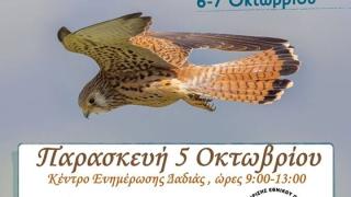 Ευρωπαϊκή Γιορτή πουλιών 2018 στο Εθνικό Πάρκο Δάσους Δαδιάς-Λευκίμης-Σουφλίου