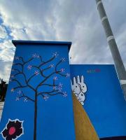 Τέρμα στο γκρι - «Ζωντάνεψαν» τα ΚΑΦΑΟ στις Φέρες (εικόνες)