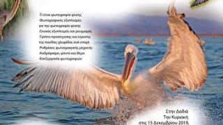 Σεμινάριο Φωτογραφίας Φύσης στο Εθνικό Πάρκο Δάσους Δαδιάς - Λευκίμης - Σουφλίου 