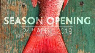 Opening Ammo Ammo 2019!