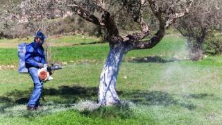 Προσλήψεις 13 ατόμων στην Περιφέρεια Ανατολικής Μακεδονίας και Θράκης