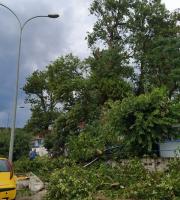 Λιμανάκι Μάκρης