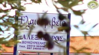 Παγκόσμια διάκριση για το ελαιοτριβείο "Αλέξανδρος" (video)