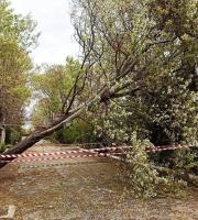 Σε ύφεση τα καιρικά φαινόμενα που έπληξαν περιοχές του Έβρου (φωτογραφίες)