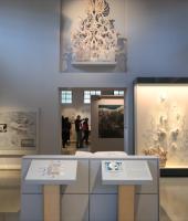 Αρχαιολογικό  μουσείο Σαμοθράκης.