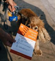 Απίστευτη η συμμετοχή του κόσμου στο 1ο WalkForFreedom στην Αλεξανδρούπολη (φωτος)