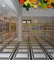 6 φωτογραφικά κλικ από την έκθεση Τροχαίας στο Νομαρχείο Αλεξ/πολης.