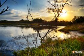 Πανέμορφο το ηλιοβασίλεμα στο Δέλτα του Έβρου!
