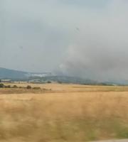 200 στρέμματα πευκοδάσους έκαψε συνολικά η πυρκαγιά