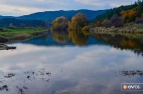  Exploring the forest of Dadia, in Evros