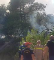 Συναγερμός στην Πυροσβεστική: Πυρκαγιά στην Λευκίμμη (video)