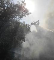 Πυρκαγιά ξέσπασε στην Κοτρωνιά του δήμου Σουφλίου (φωτο & video)