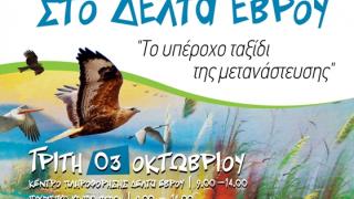 "Πανευρωπαϊκή Γιορτή Πουλιών 2017" στο Δέλτα του Έβρου