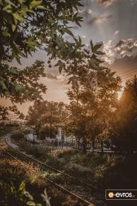 In Dikaia, at its decommissioned railway station