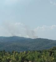 Πυρκαγιά ξέσπασε στην Κοτρωνιά του δήμου Σουφλίου (φωτο & video)