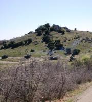 Εντυπωσιακές εικόνες από την άσκηση του Δ' Σώματος στρατού, στον Έβρο (φωτο)