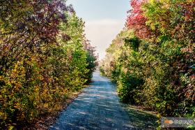 The orgasms' full nature in the north side of Leykimi, Evros.