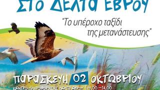 Πανευρωπαϊκή Γιορτή Πουλιών 2015 στο Δέλτα του Έβρου.