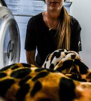 Αυτοεξυπηρετούμενα πλυντήρια ρούχων