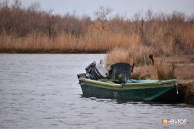 Βάρκα στο Δέλτα του Έβρου