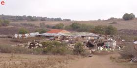 Από που βγαίνει το νόστιμο κρέας;