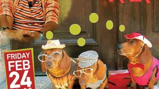 Οι ''Perros Calientes'' έρχονται για μια live latin βραδιά στο SoHo