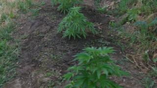 ΔΕΛΤΙΟ ΤΥΠΟΥ ΤΗΣ 14ης ΜΑΪΟΥ 2013.