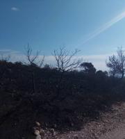 Εικόνα από την περιοχή σήμερα το πρωί 