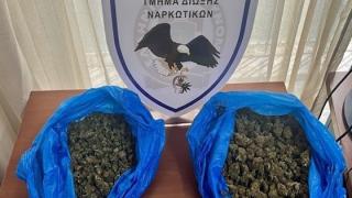 Αστυνομικός σκύλος "ξετρύπωσε" ναρκωτικά σε σπίτι στη Σαμοθράκη (φωτο)