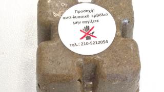 Ξεκινάει η εναέρια ρίψη δολωμάτων κατά της λύσσας στην περιφέρεια ΑΜΘ 