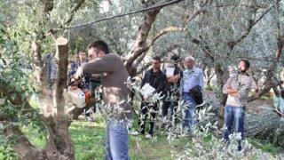 Διημερίδα για την ελαιοκαλλιέργεια στη Σαμοθράκη από την Π.Ε. Έβρου