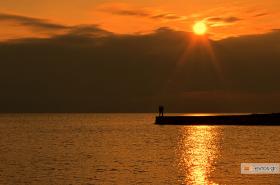 The couple of the photograph is being searched!