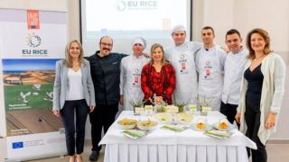 EU RICE: Με επιτυχία πραγματοποιήθηκε το εκπαιδευτικό σεμινάριο στο ΙΕΚ Τουρισμού Αλεξανδρούπολης