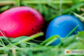 "Christos Anesti" and many happy years full of health!