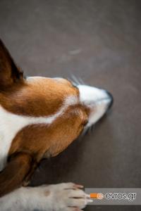 I workship yoy, great workship!