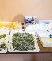 Sofulu: İpek sanatı müzesi 